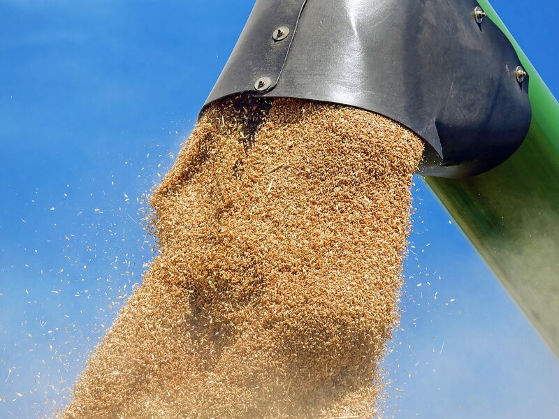 Grain Supply & Trading